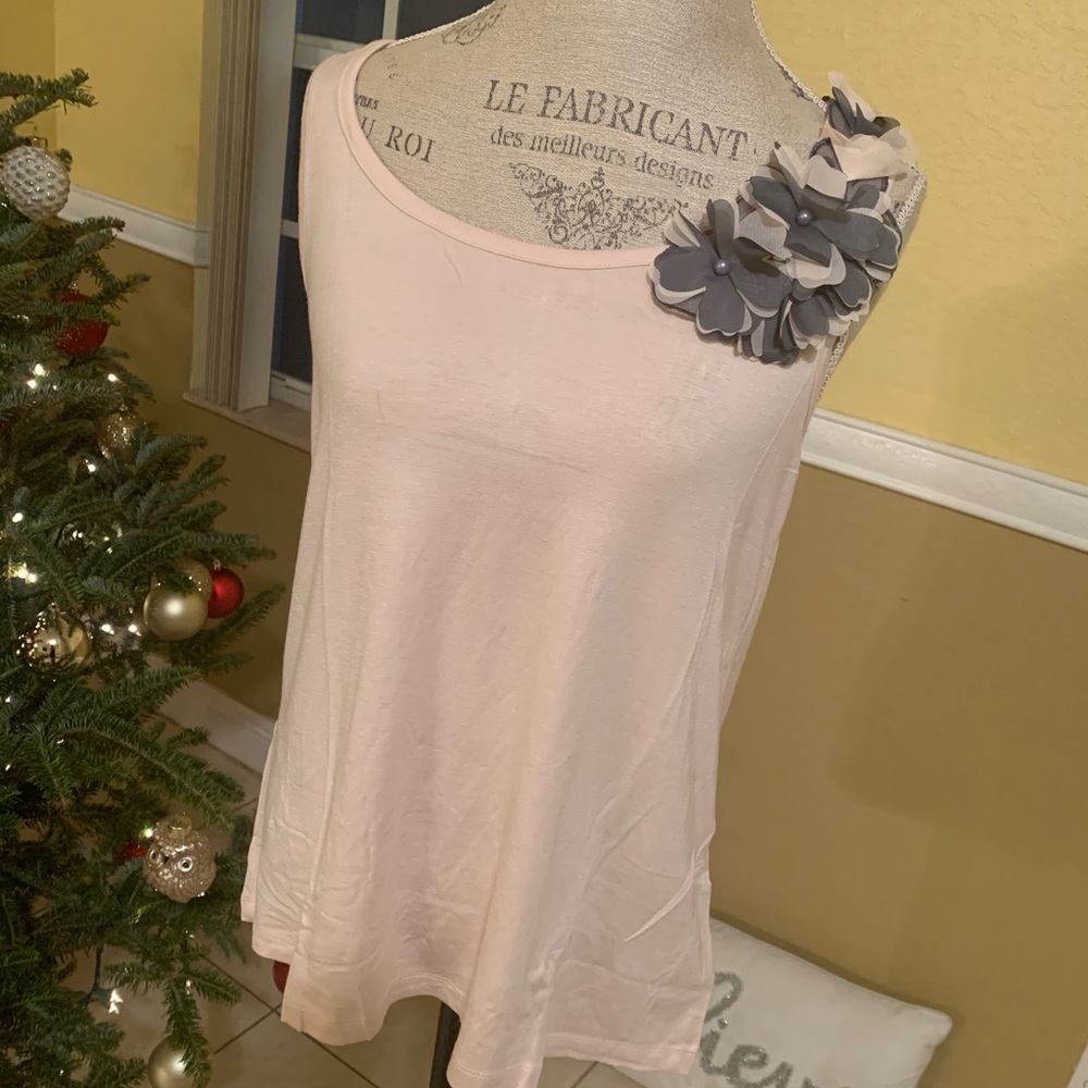 Size 10 spicy sugar top